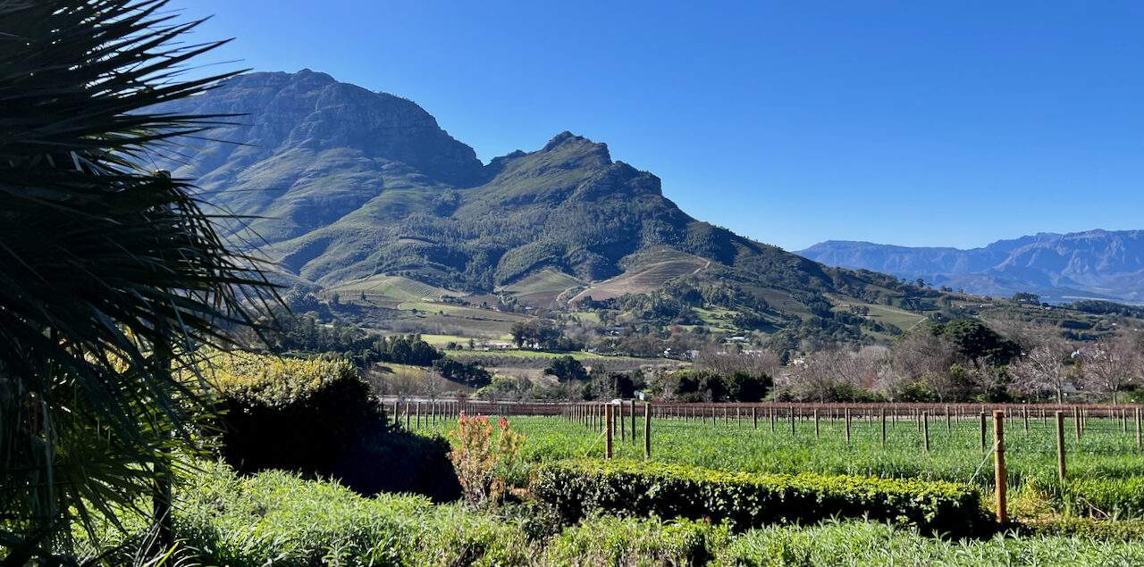 View to Stellenbosch's magnificent mountains