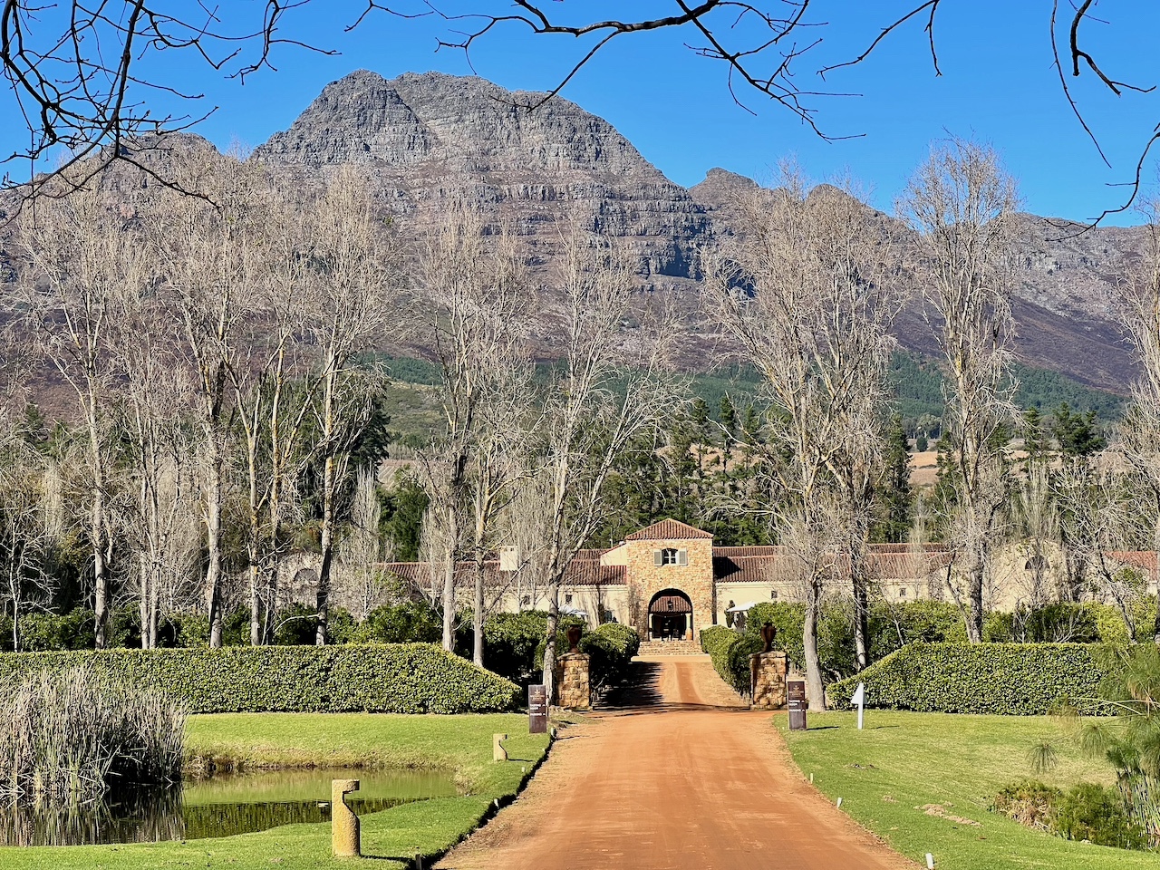 Stellenbosch winery