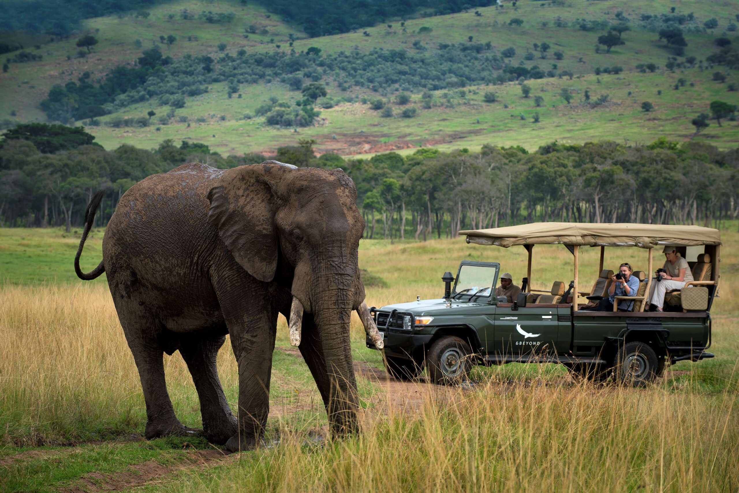 elephant and people in a jeep on a safari in Kenya