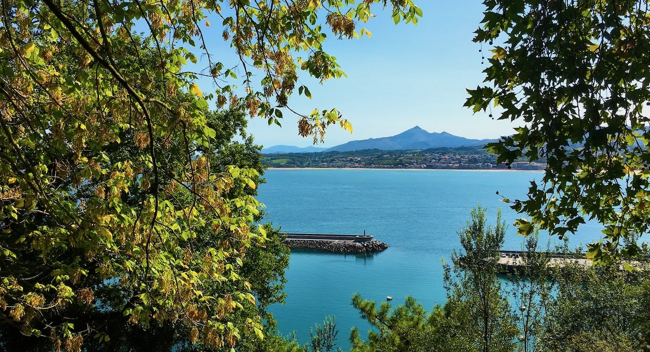 View through trees to the bay of Hondarribia