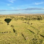 Serengeti view from a hot air balloon