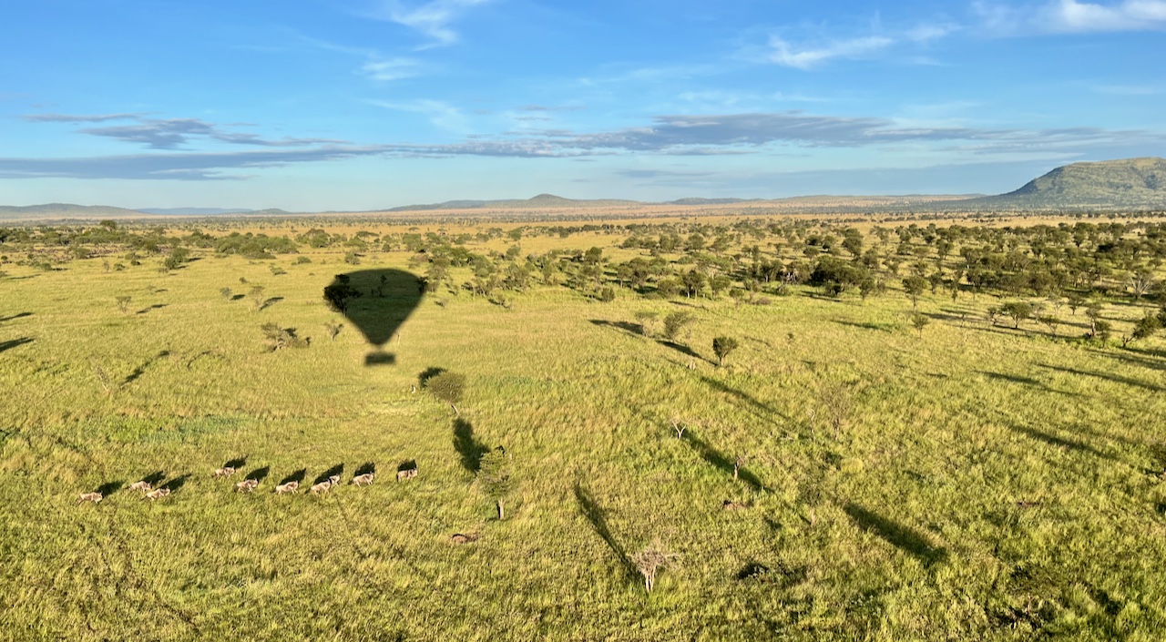 Serengeti view from a hot air balloon